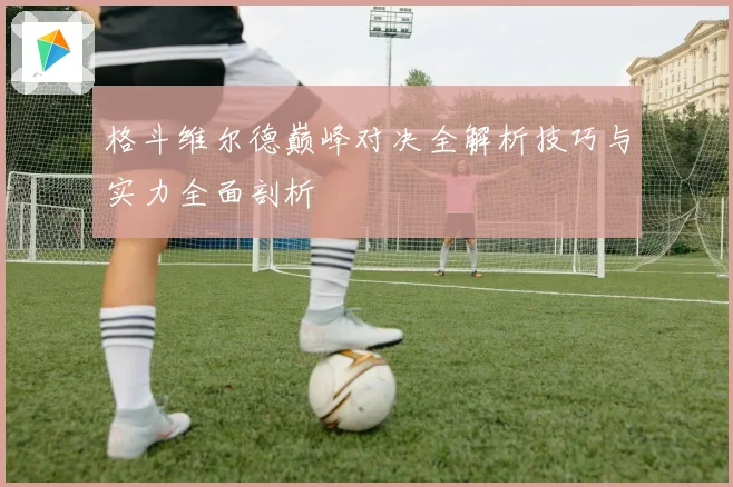格斗维尔德巅峰对决全解析技巧与实力全面剖析