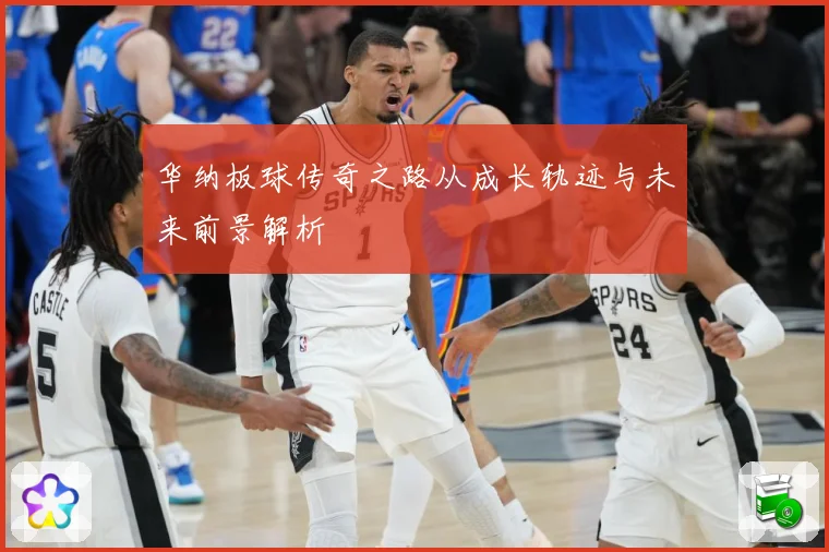 华纳板球传奇之路从成长轨迹与未来前景解析