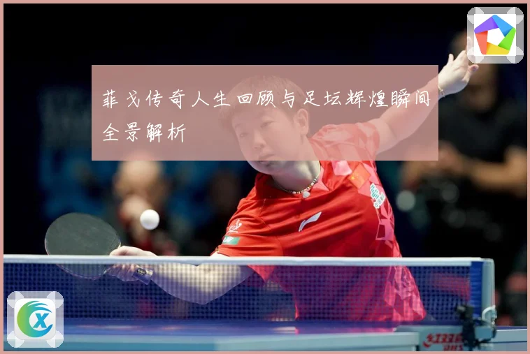 菲戈传奇人生回顾与足坛辉煌瞬间全景解析